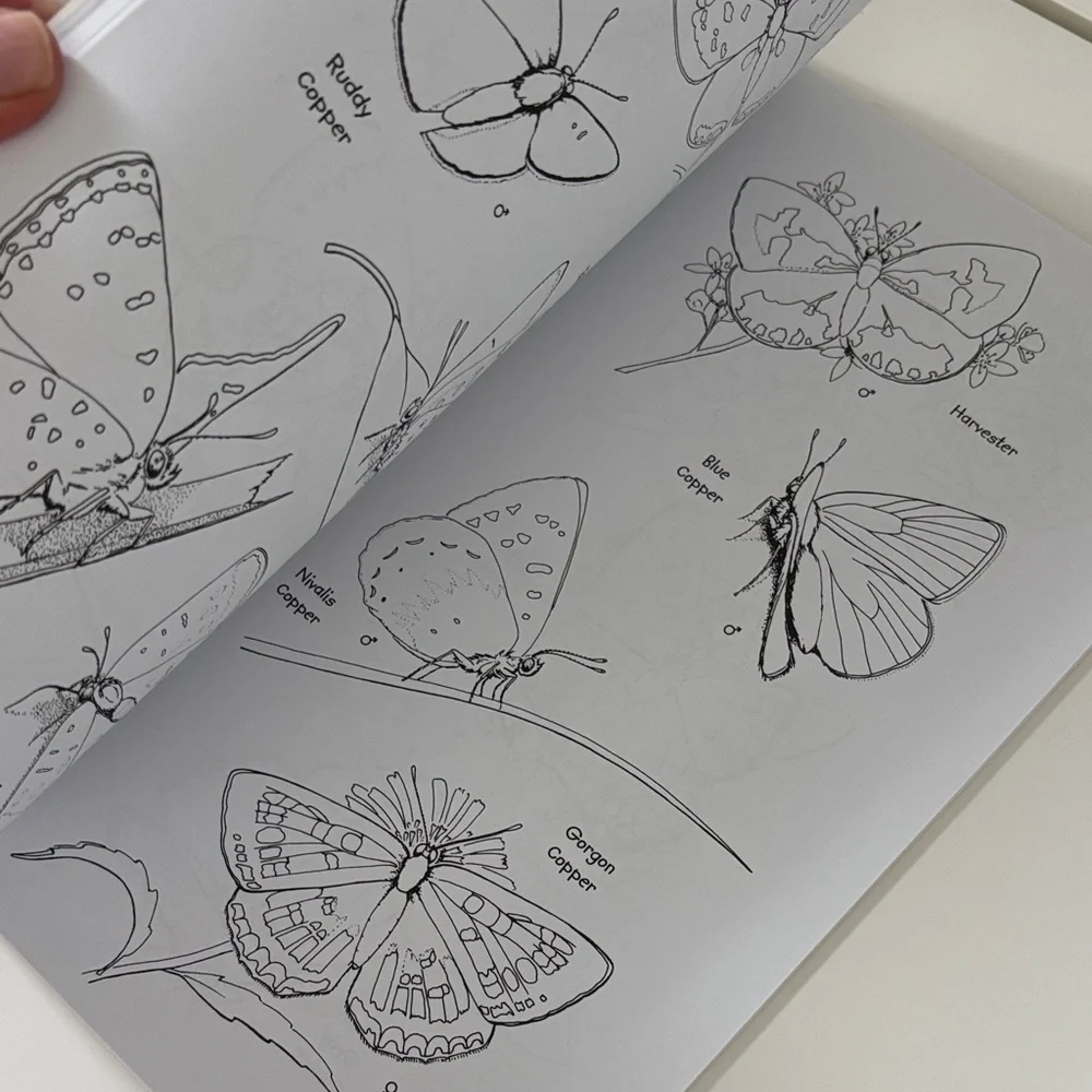 2 NEW Peterson Field Guide Coloring Books - Birds & Butterflies with stickers🦋